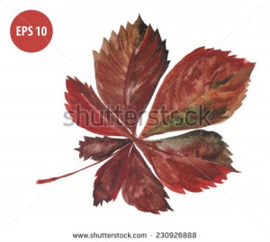 painting autumn foliage, watercolor leaf